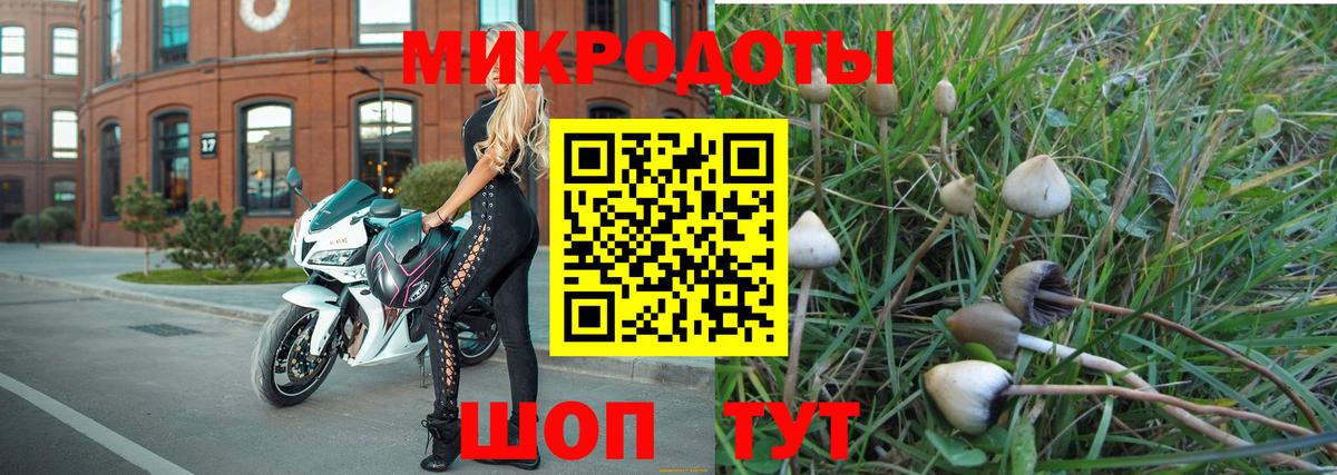 Галлюциногенные грибы Magic Shrooms Славгород