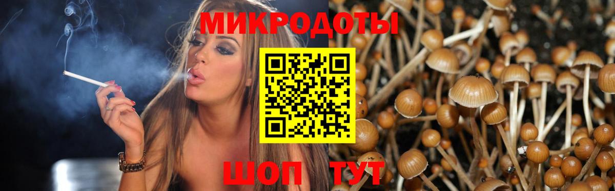 Славгород  Псилоцибиновые грибы ЛСД  где можно купить   Вход с VPN  Псилоцибиновые грибы MAGIC MUSHROOMS 